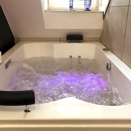Westvleugel Luxe - 100 M2 - 5-8 Persons - Sauna - Whirlpools Apartment *