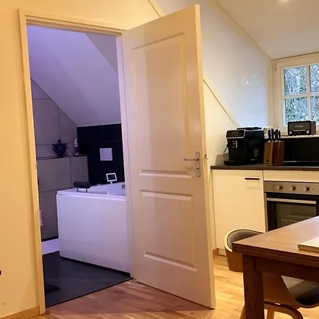 Apartment Westvleugel Luxe - 100 M2 - 5-8 Persons - Sauna - Whirlpools Oss