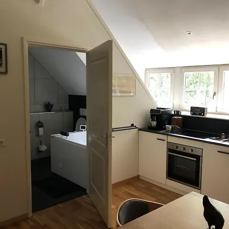 Westvleugel Luxe - 100 M2 - 5-8 Persons - Sauna - Whirlpools Apartment