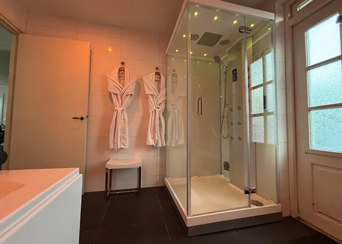 Westvleugel Luxe - 100 M2 - 5-8 Persons - Sauna - Whirlpools Appartement