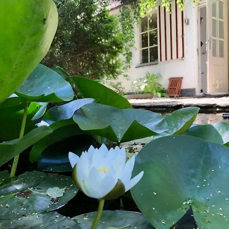 Westvleugel Luxe - 100 M2 - 5-8 Persons - Sauna - Whirlpools Apartamento *