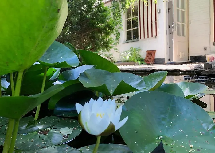 Westvleugel Luxe - 100 M2 - 5-8 Persons - Sauna - Whirlpools Apartamento *