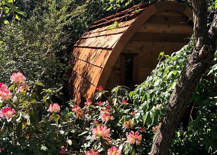 Westvleugel Luxe - 100 M2 - 5-8 Persons - Sauna - Whirlpools *